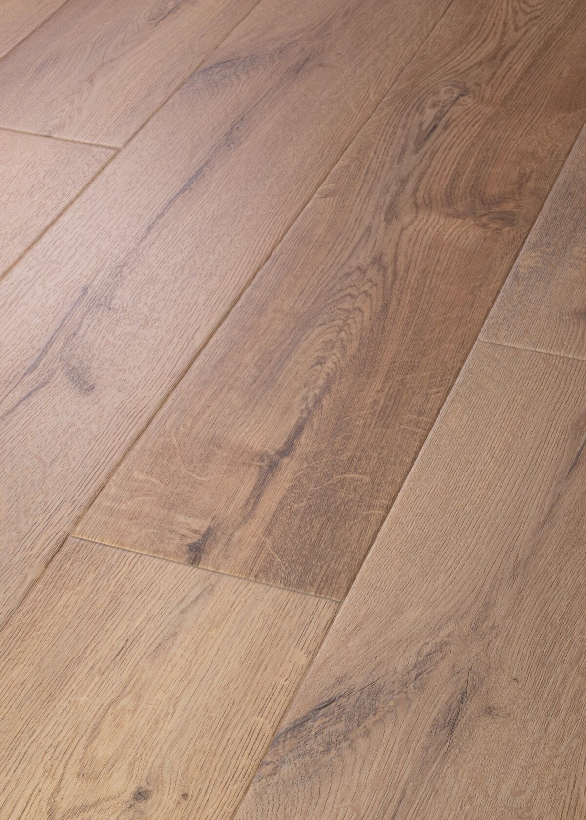 Sand Dollar Oak