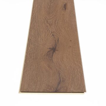 Sand Dollar Oak