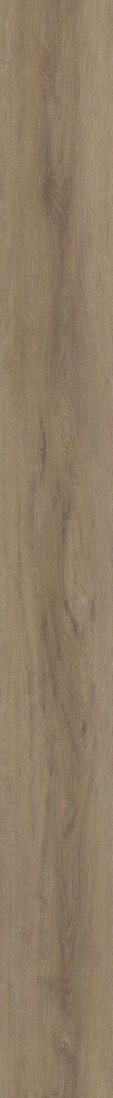 Grande Ellidy Oak