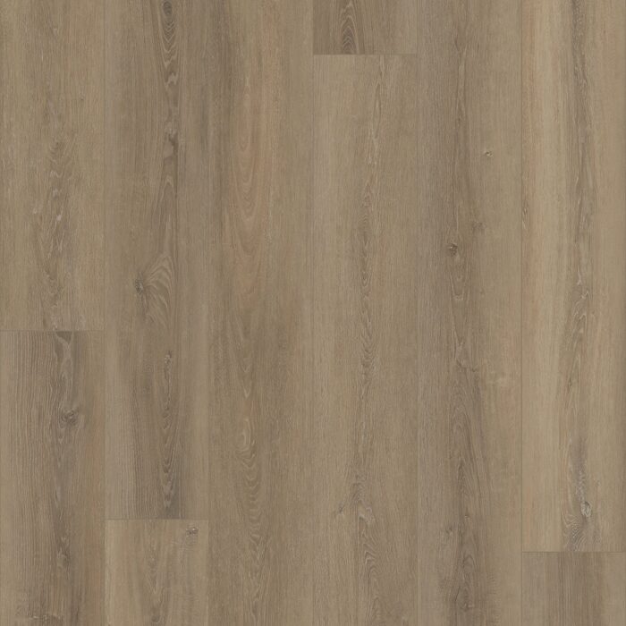 Grande Ellidy Oak