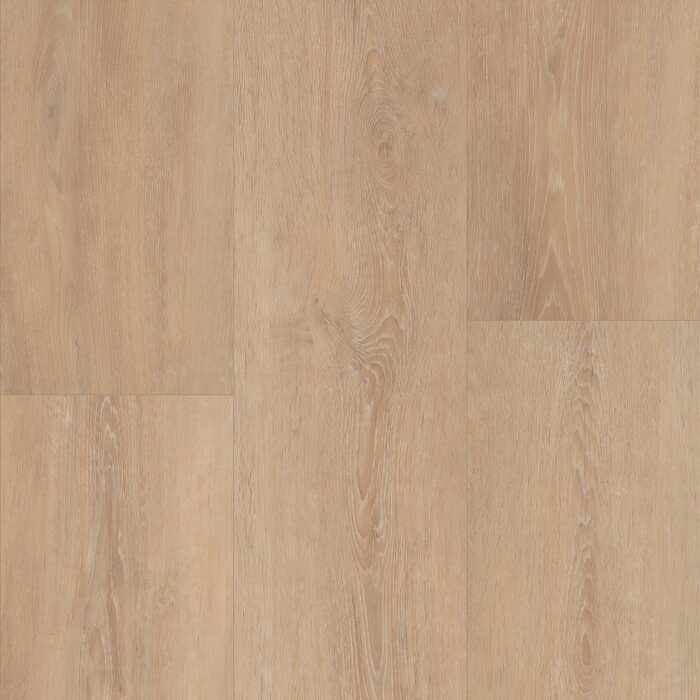 Grande Lotte Oak
