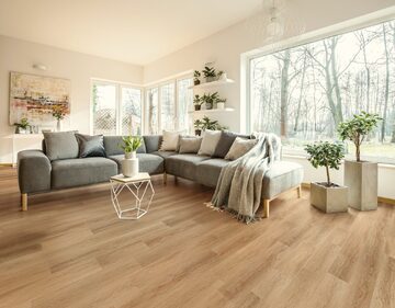 Grande Lotte Oak