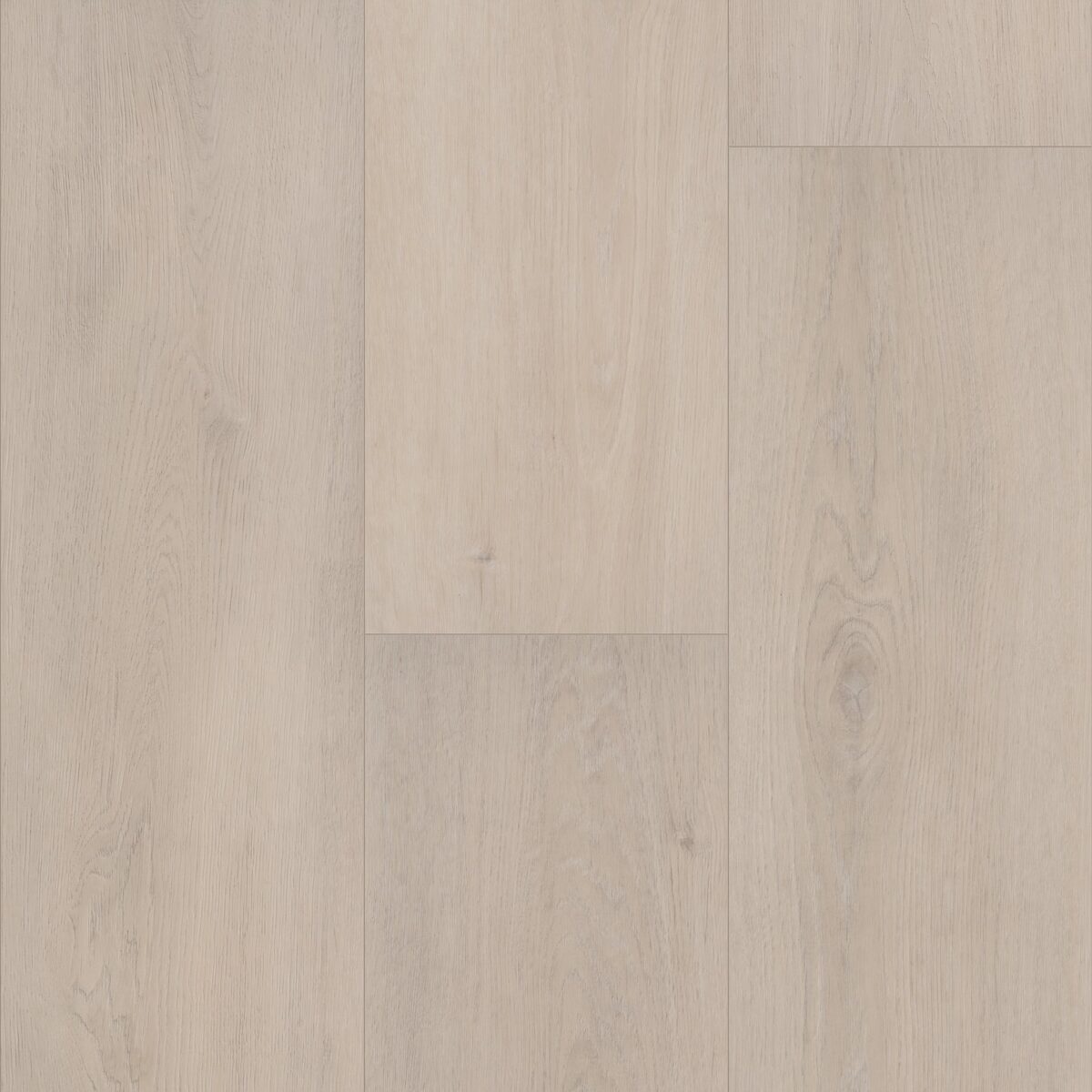 Grande Empire Oak