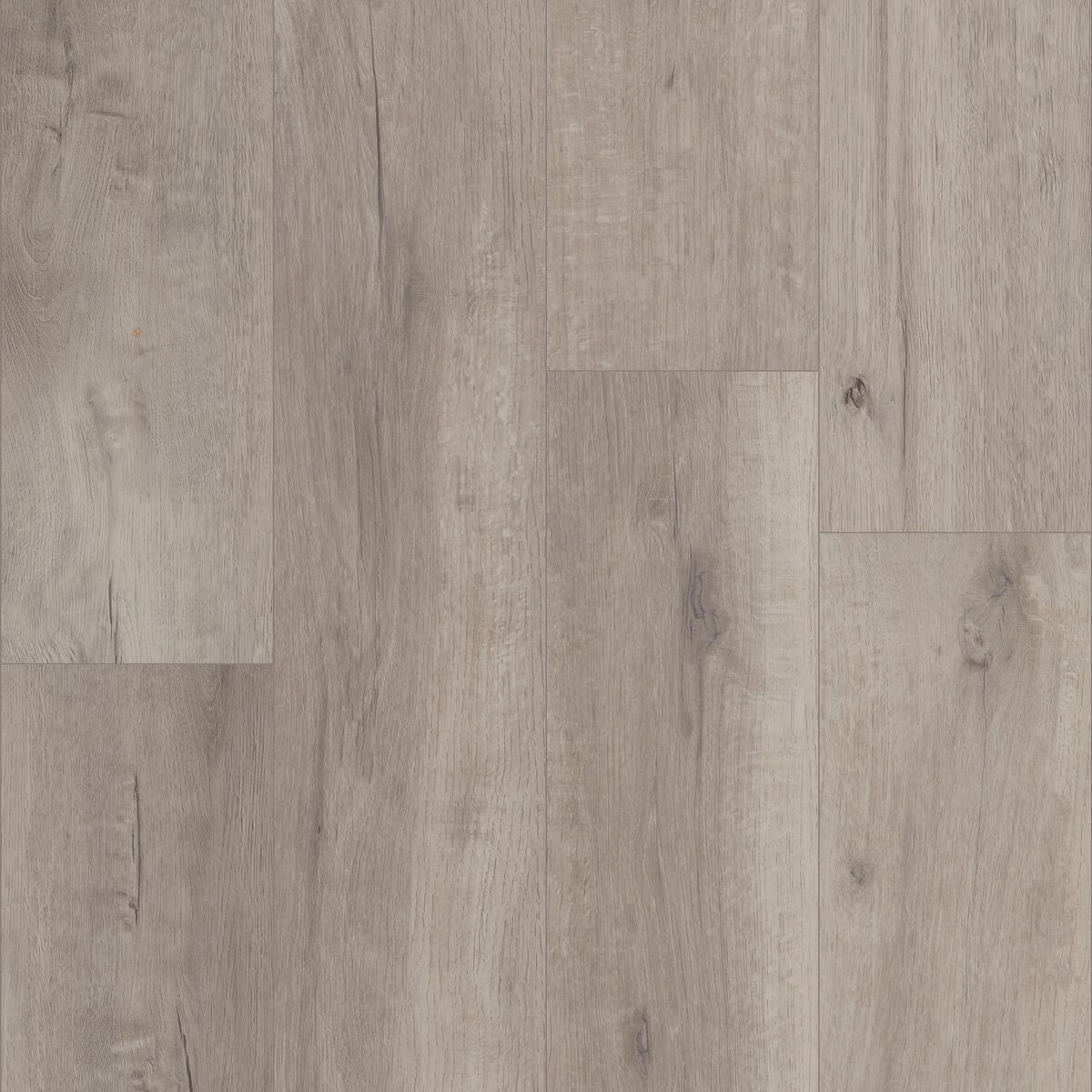 Grande Vista Oak