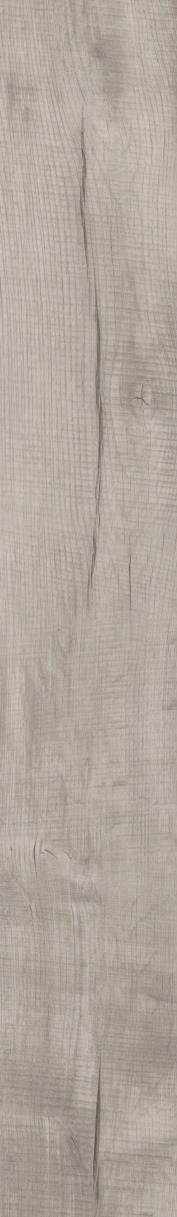 Chesapeake Oak