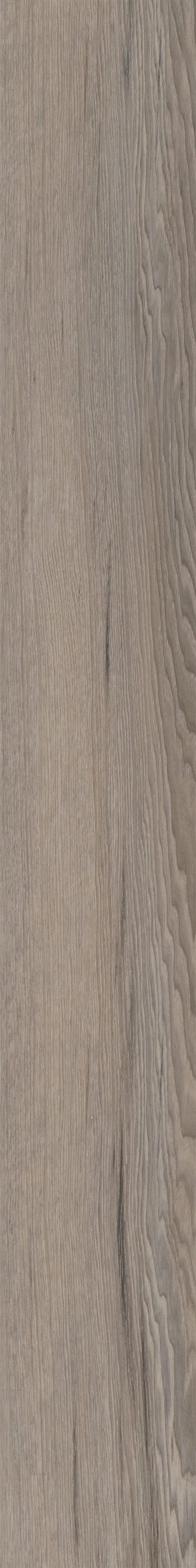 Salton Chestnut