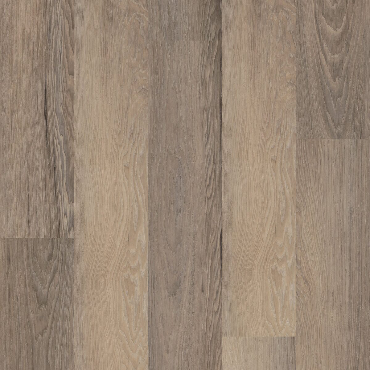 Salton Chestnut