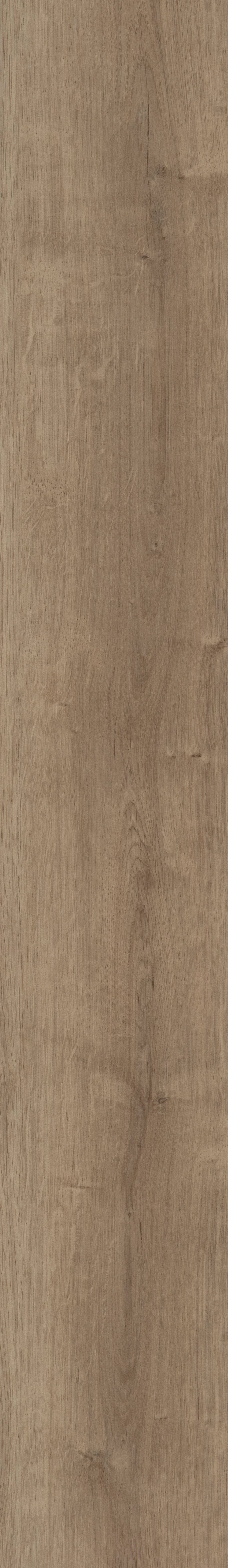 Copano Oak