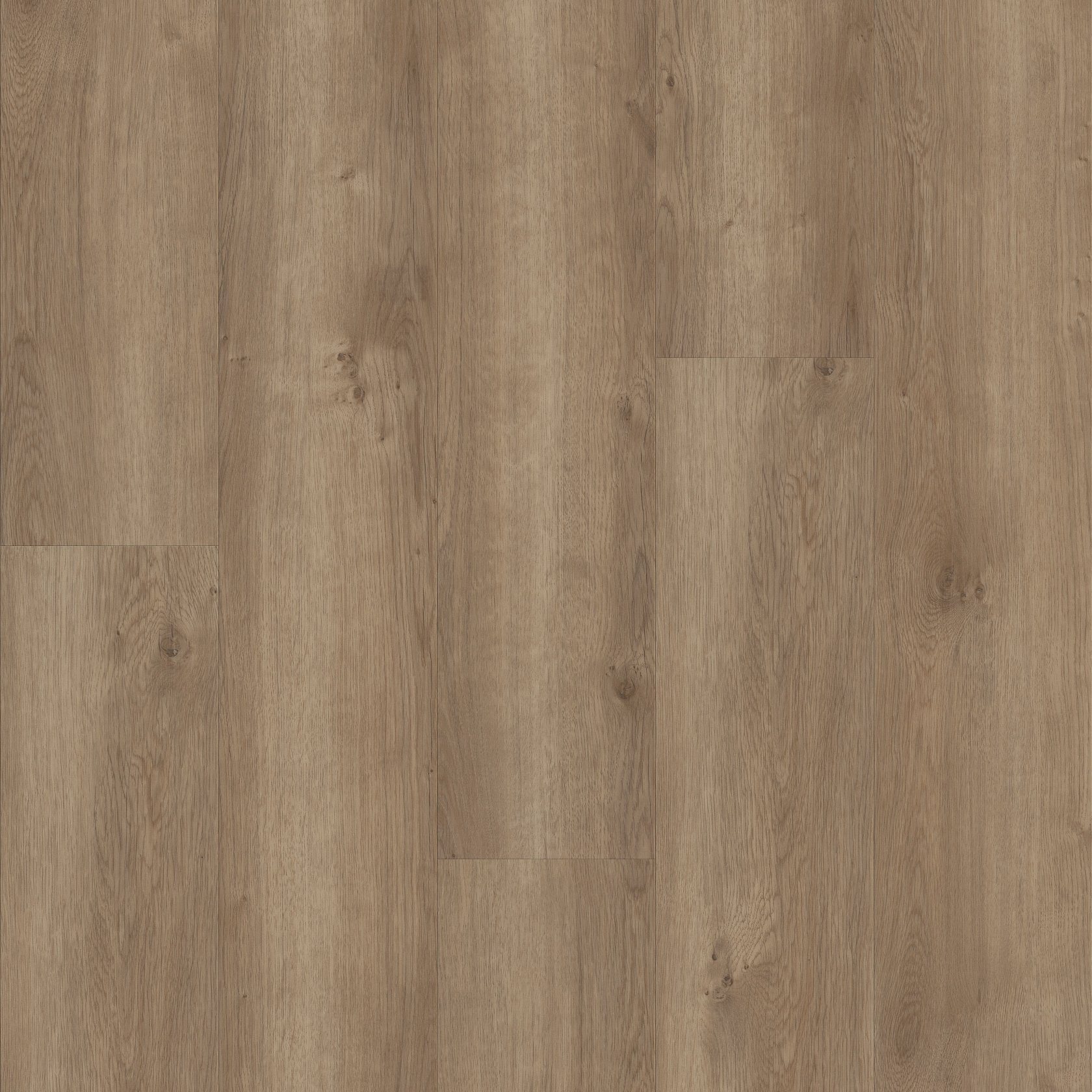 Copano Oak