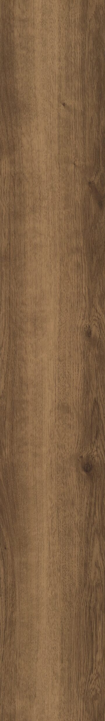 Monterey Oak