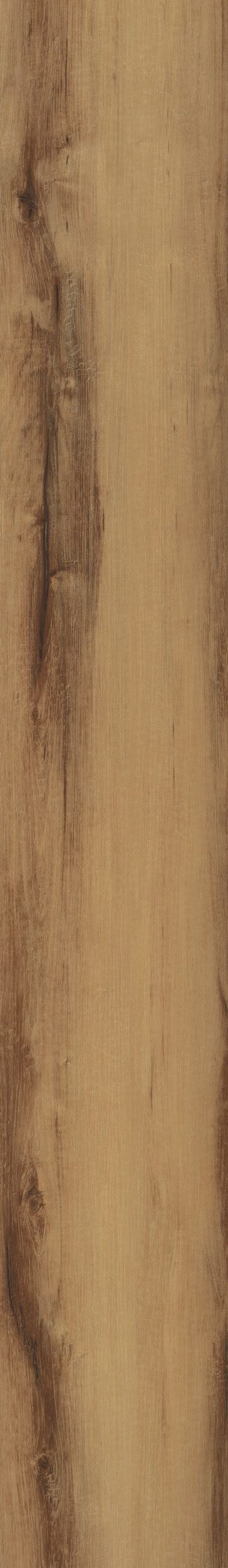 Belmont Hickory