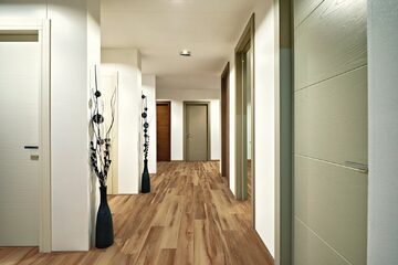 Belmont Hickory