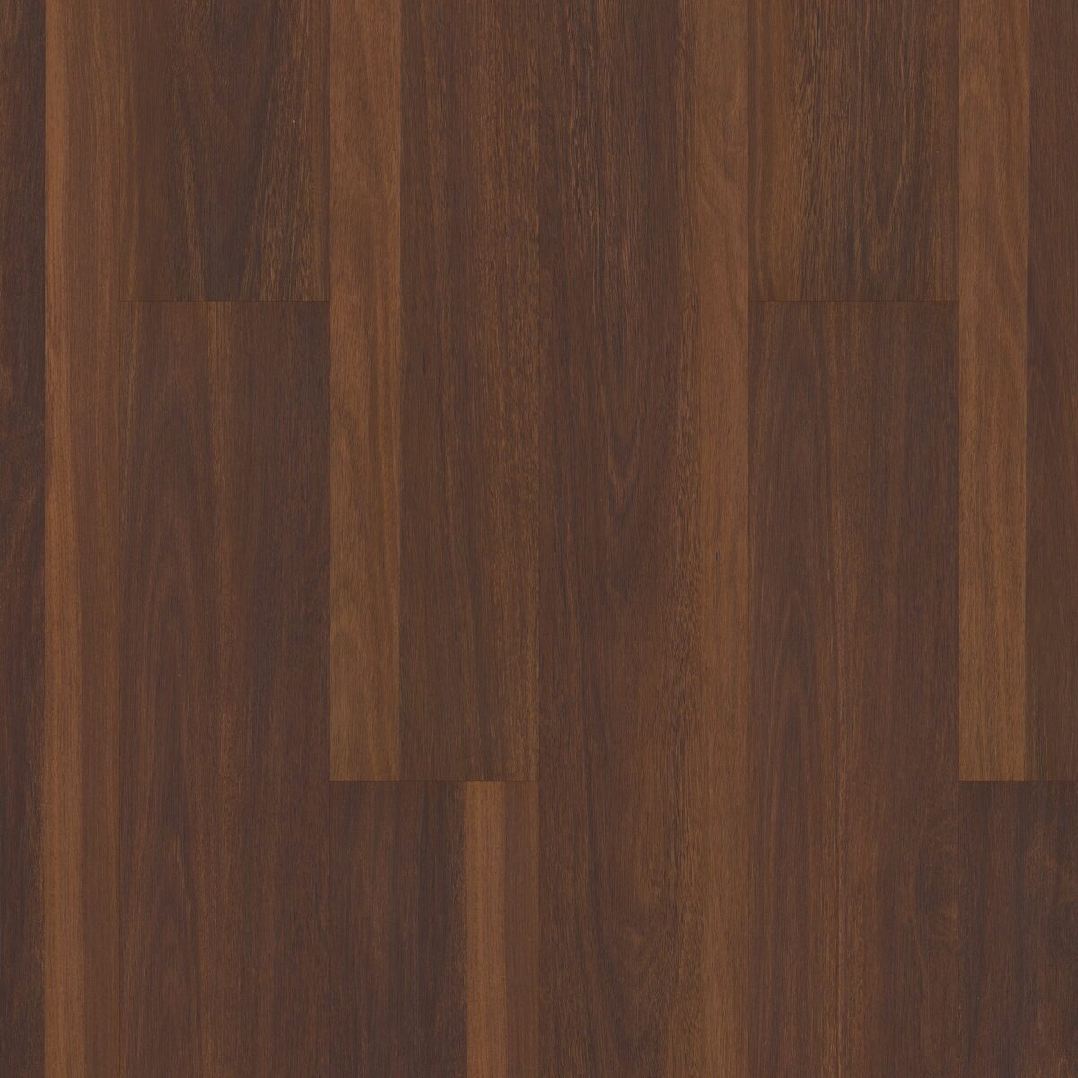 Biscayne Oak