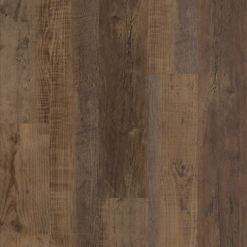 Duxbury Oak