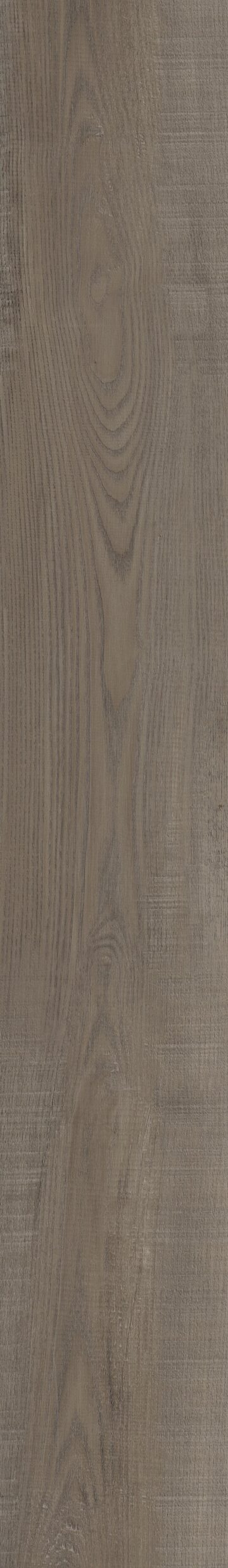Laguna Oak