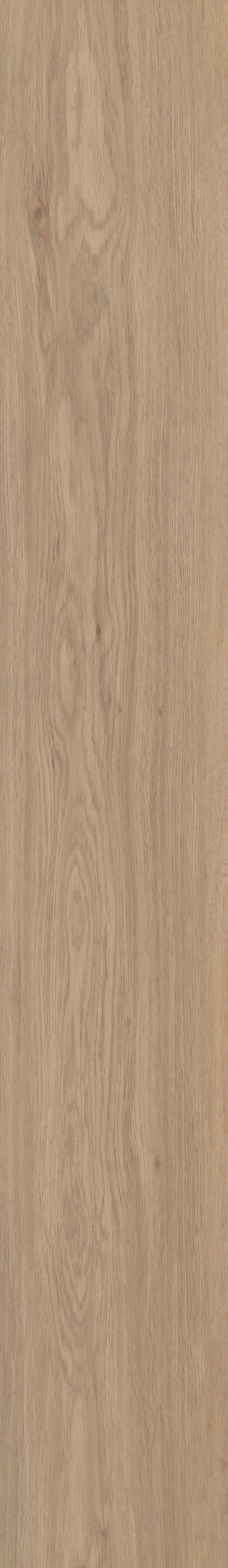 Springfield Oak
