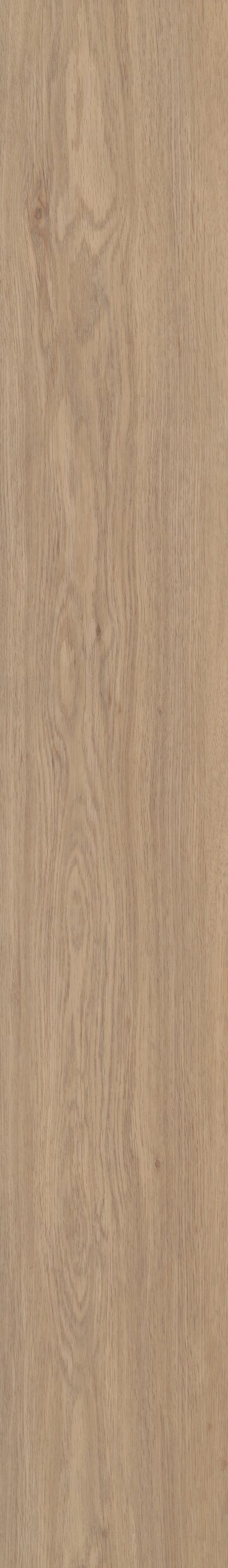 Springfield Oak