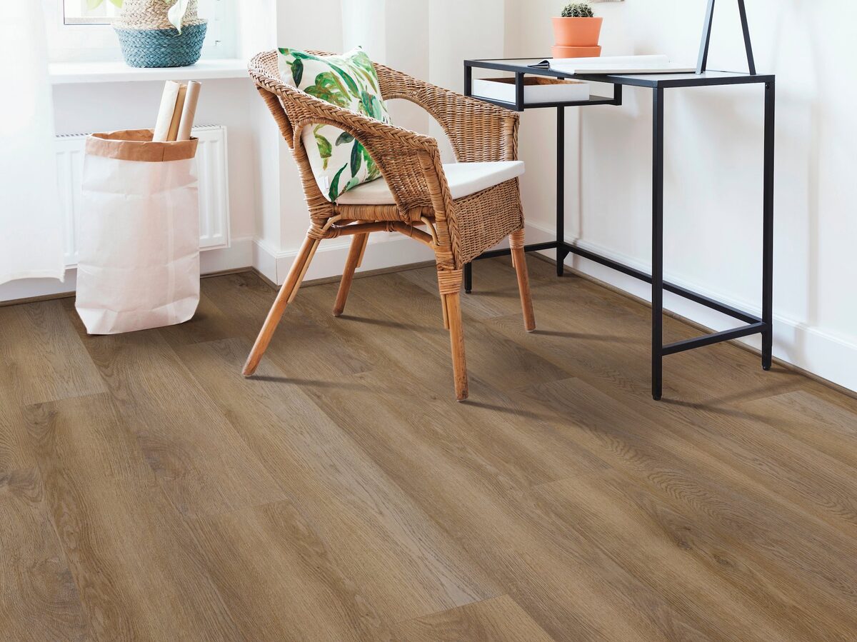 Cartwheel Oak