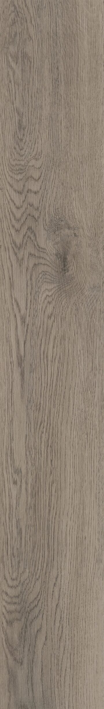 Elliptical Oak
