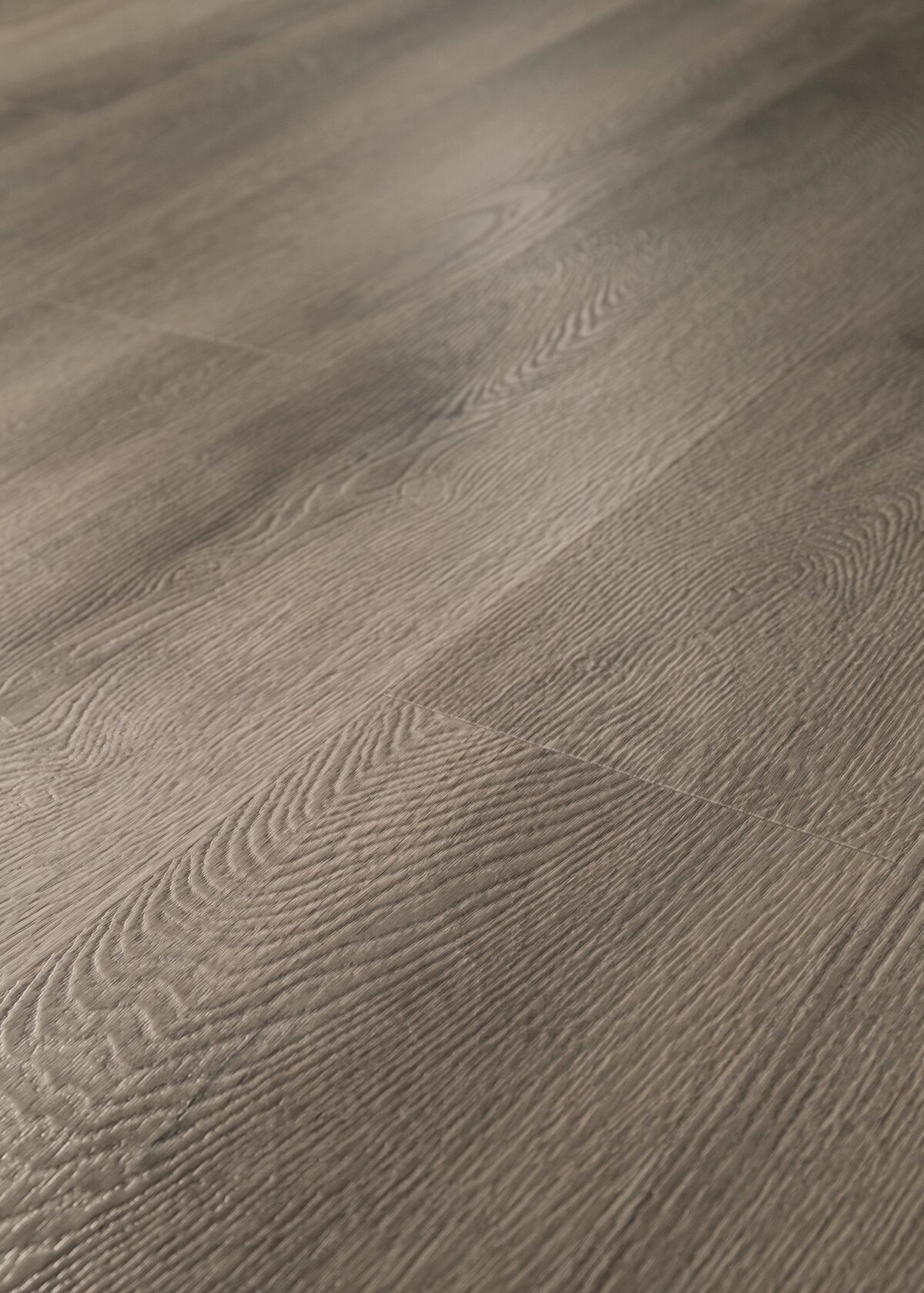 Elliptical Oak