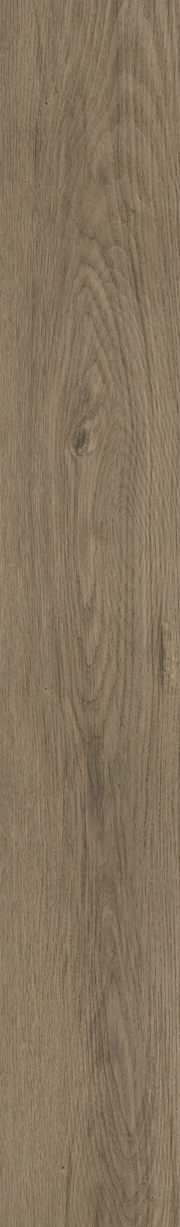 Bakersfield Oak