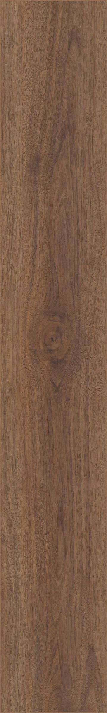 Rocca Oak
