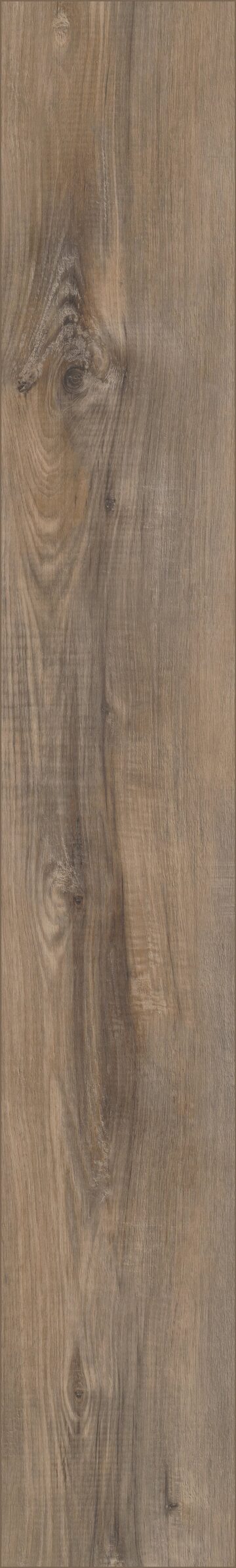 Portchester Oak