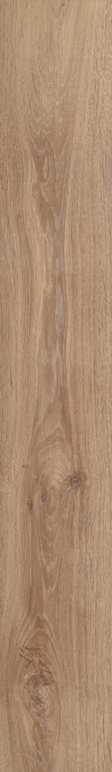 Lyric Oak