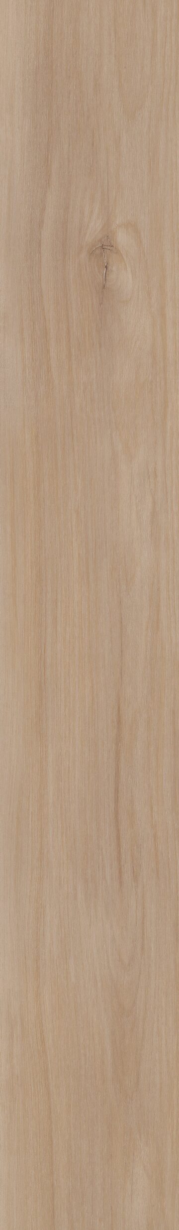 Lucent Oak