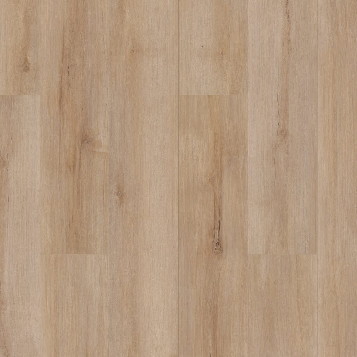 Lucent Oak