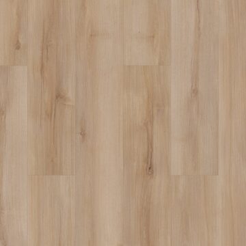 Lucent Oak