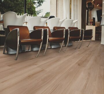 Lucent Oak