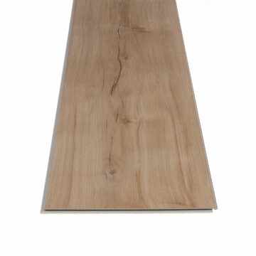 Lucent Oak