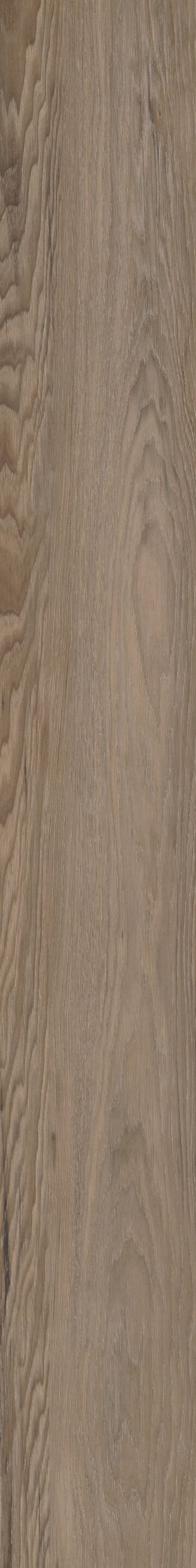 Brawley Chestnut