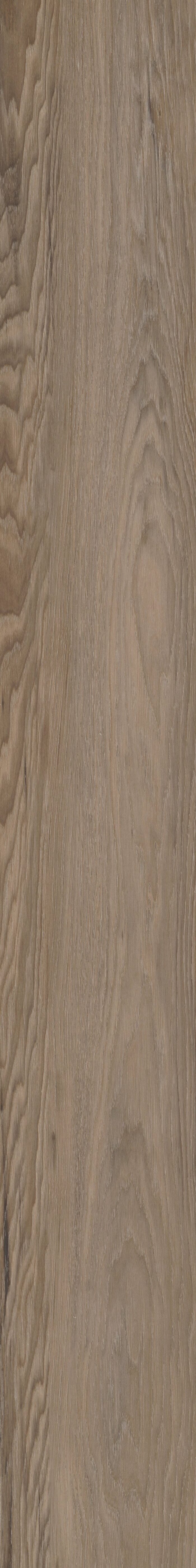 Brawley Chestnut