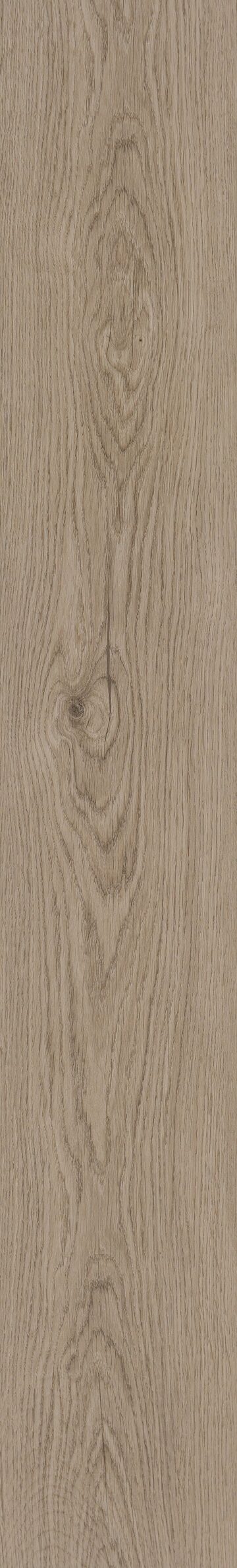 Radley Oak