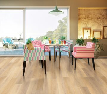 Canterbury Elm