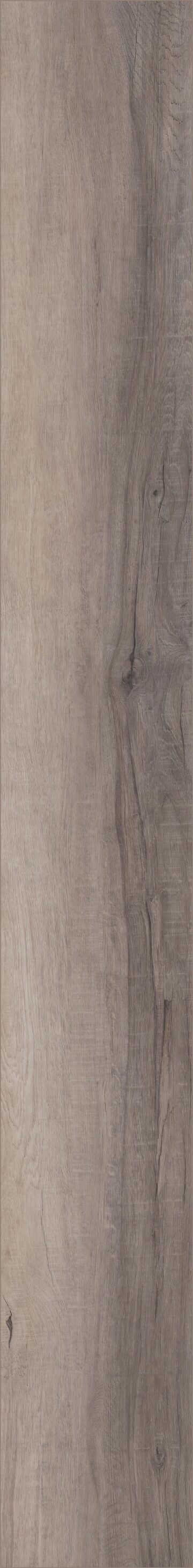 Berkshire Elm