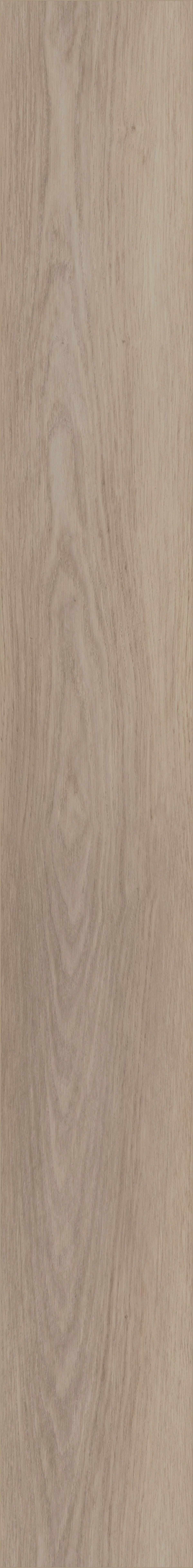 Southampton Oak