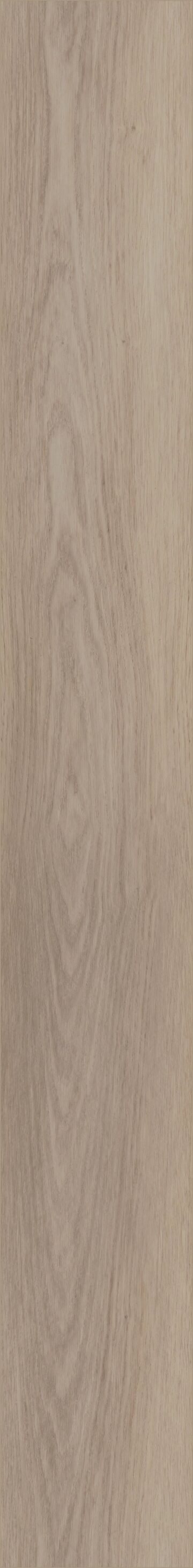 Southampton Oak