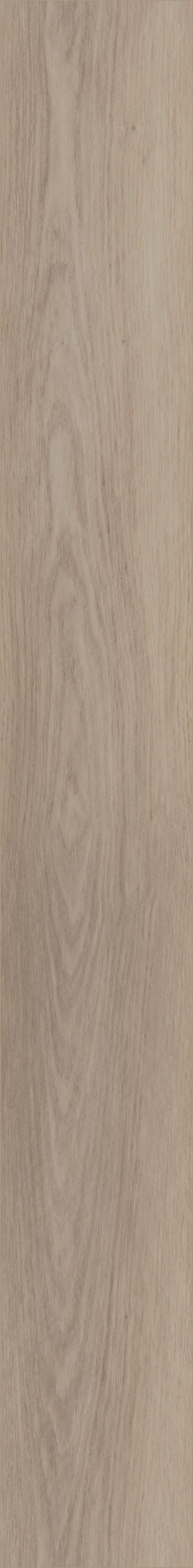 Southampton Oak