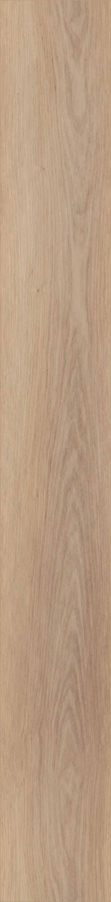 Wiltshire Oak