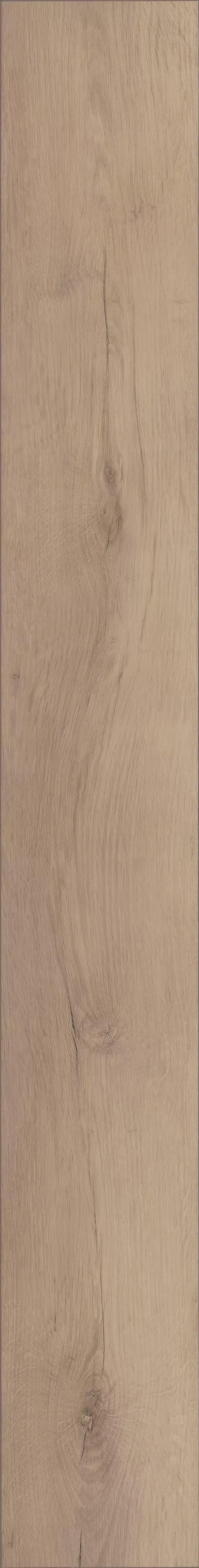 Madrid Oak