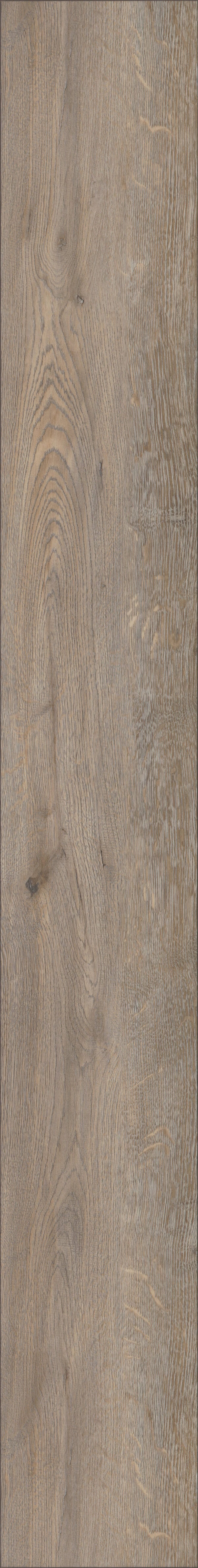 Suva Oak