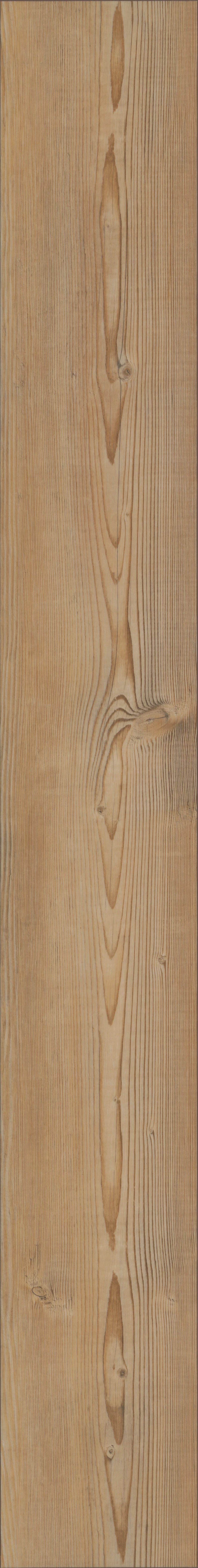 Berlin Pine