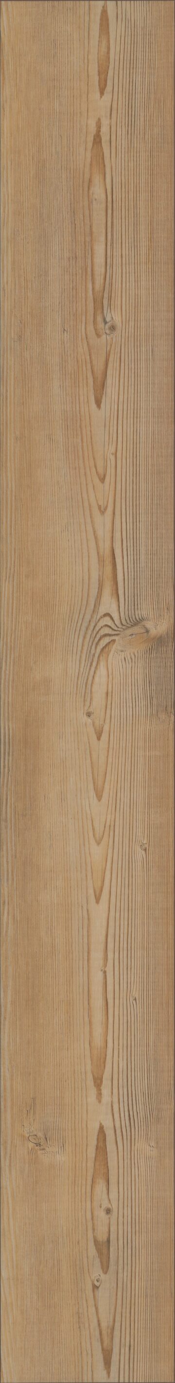 Berlin Pine