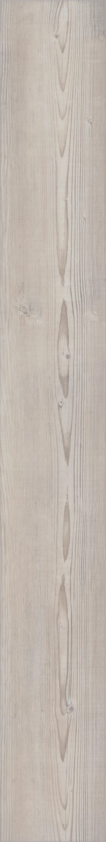 Dublin Pine