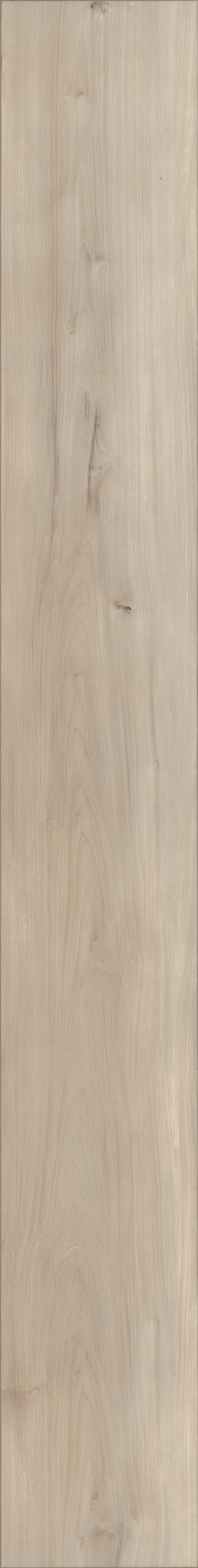 Capetown Maple