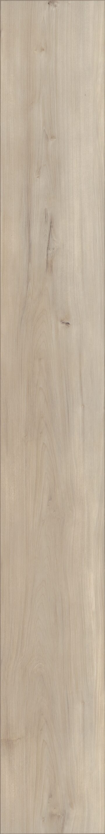 Capetown Maple