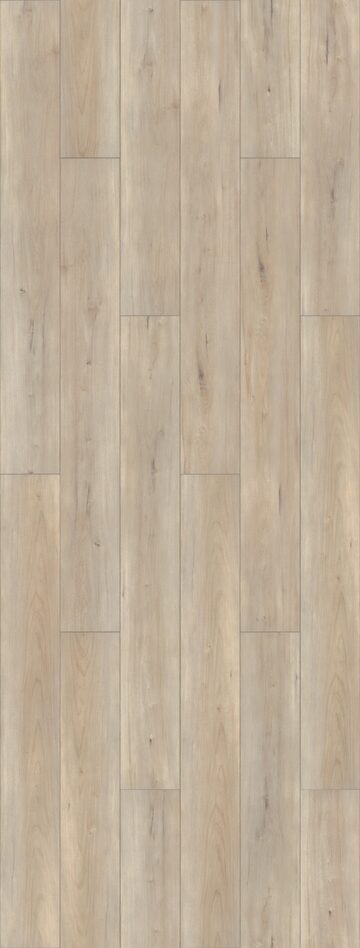 Capetown Maple